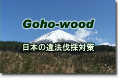Goho-wood 日本の違法伐採